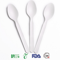 7 Inch Sustainable Take Out CPLA Spoon