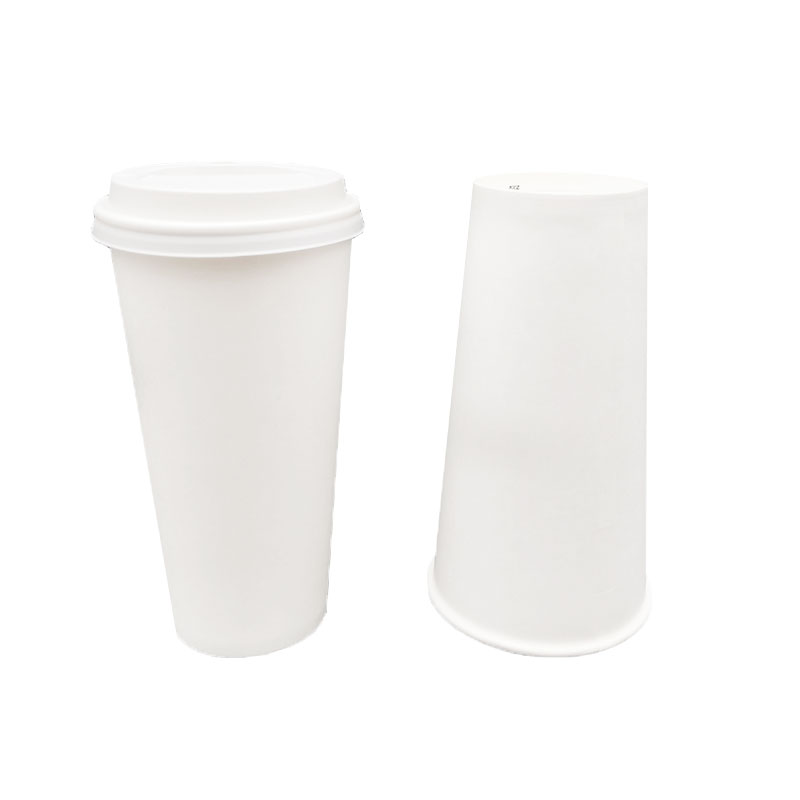 10OZ Biodegradable Paper Cup