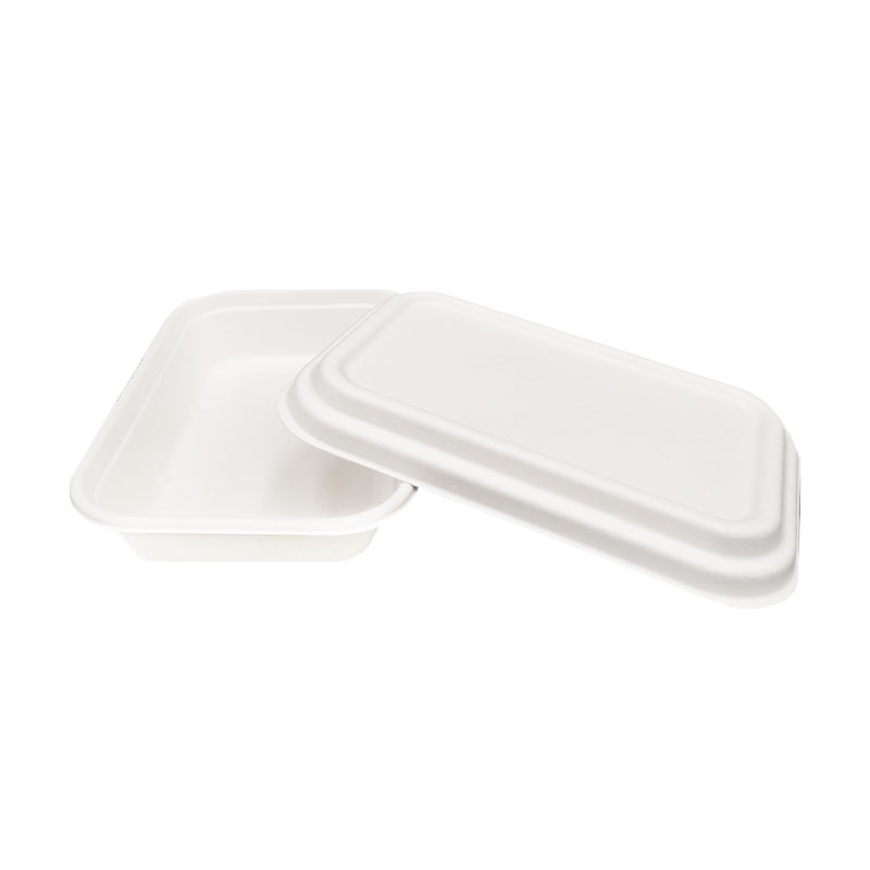 750ml Compostable Sugarcane Pulp Rectangle Box with Lid