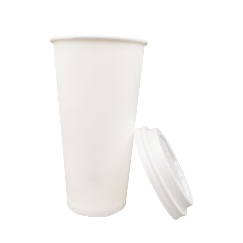 10OZ Biodegradable Paper Cup